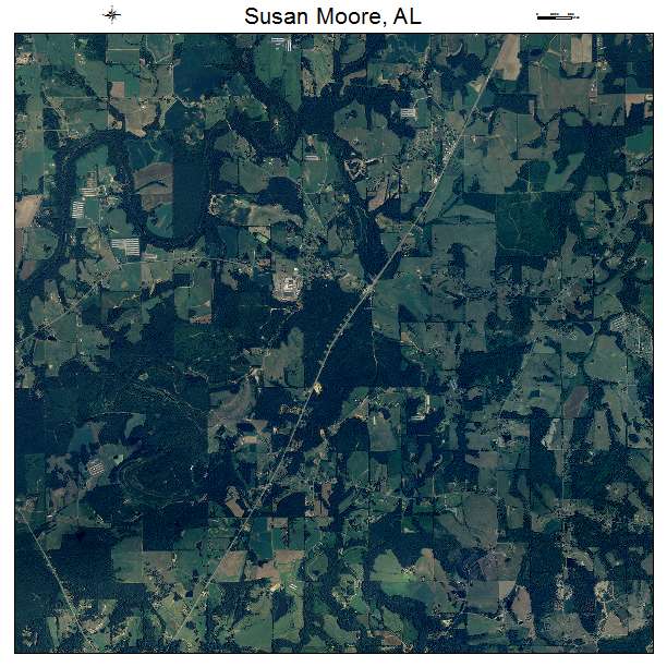 Susan Moore, AL air photo map