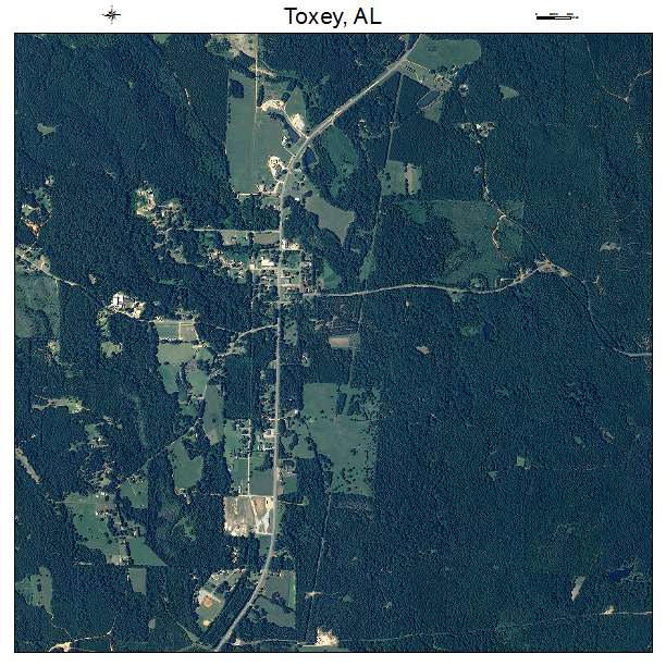 Toxey, AL air photo map