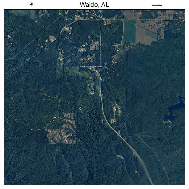Waldo, AL air photo map