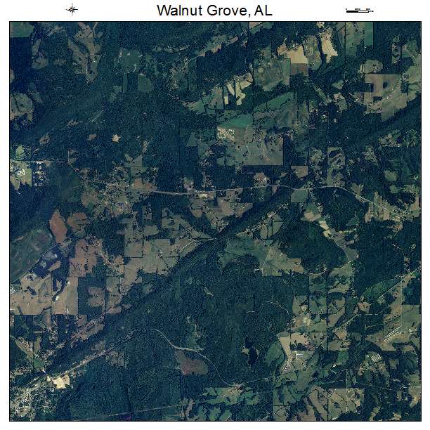 Walnut Grove, AL air photo map