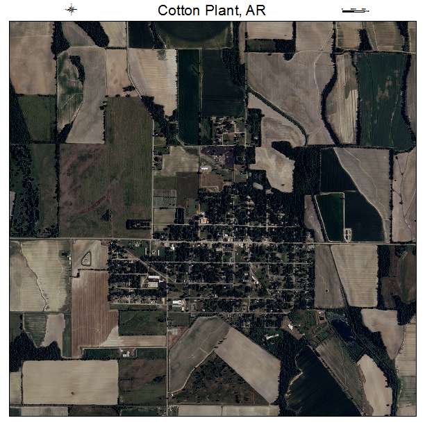Cotton Plant, AR air photo map