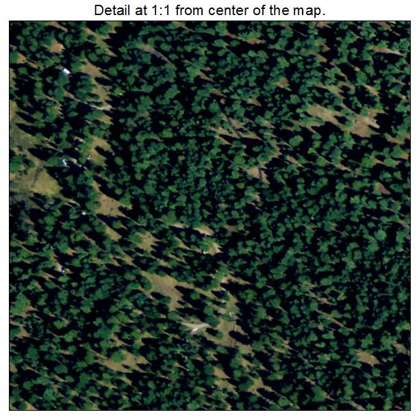 Almanor, California aerial imagery detail