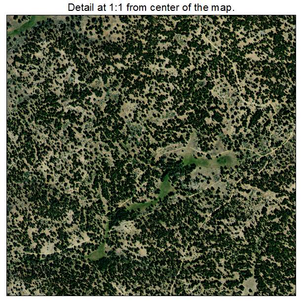 Lake Davis, California aerial imagery detail