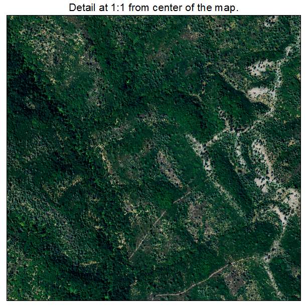 Lakehead Lakeshore, California aerial imagery detail