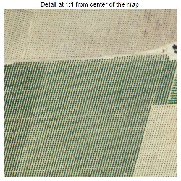 Lemon Cove, California aerial imagery detail