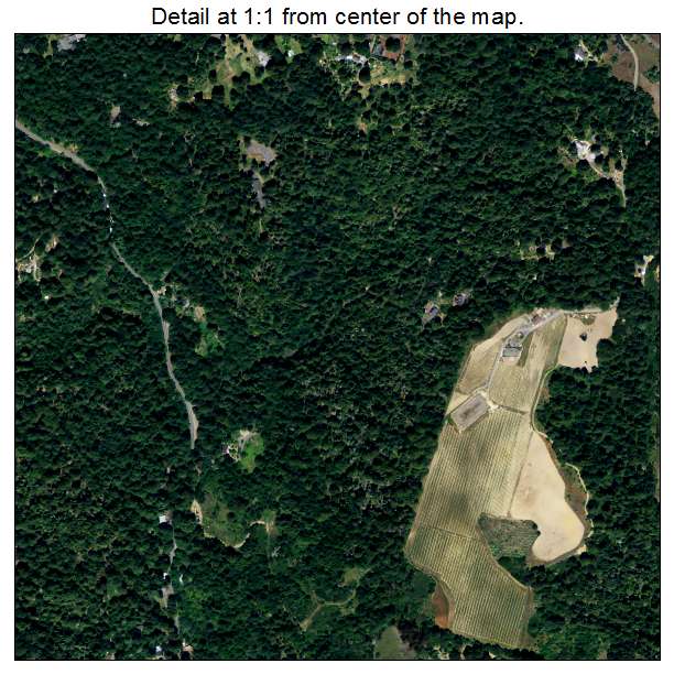 Occidental, California aerial imagery detail