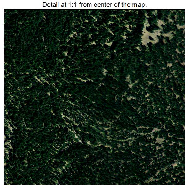 Plumas Eureka, California aerial imagery detail