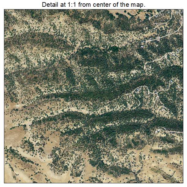 Rancho Tehama Reserve, California aerial imagery detail
