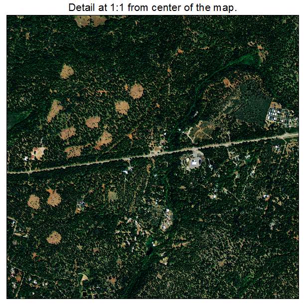 Shingletown, California aerial imagery detail