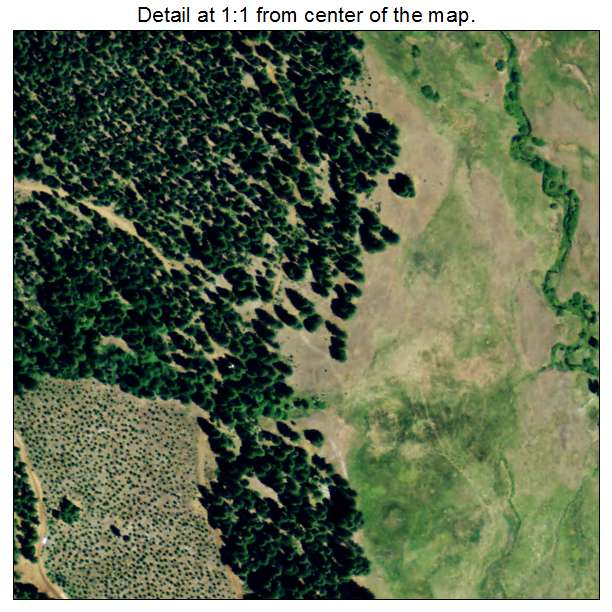 Spring Garden, California aerial imagery detail