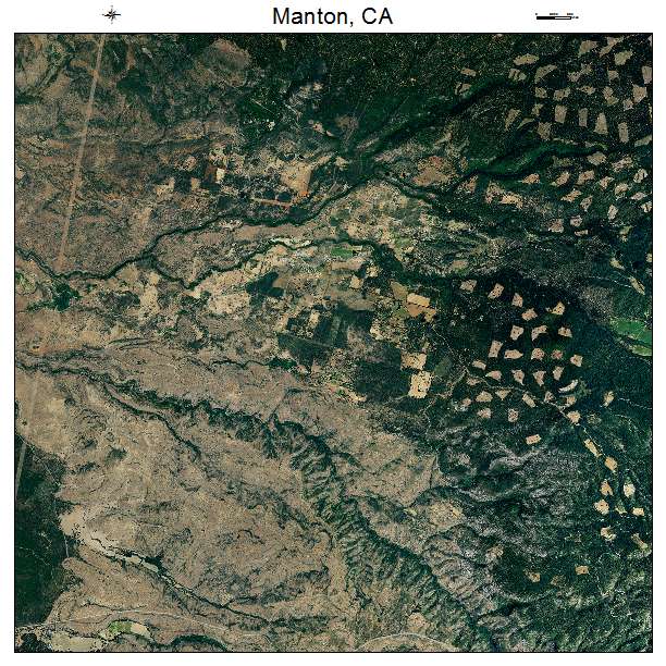 Manton, CA air photo map