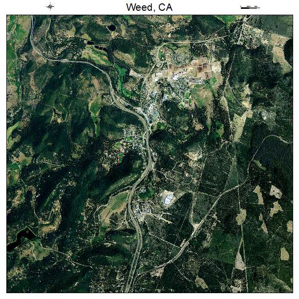 Weed, CA air photo map