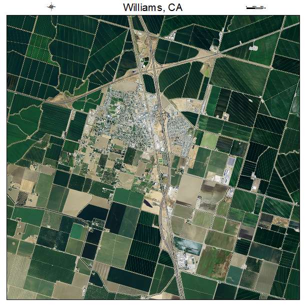 Williams, CA air photo map