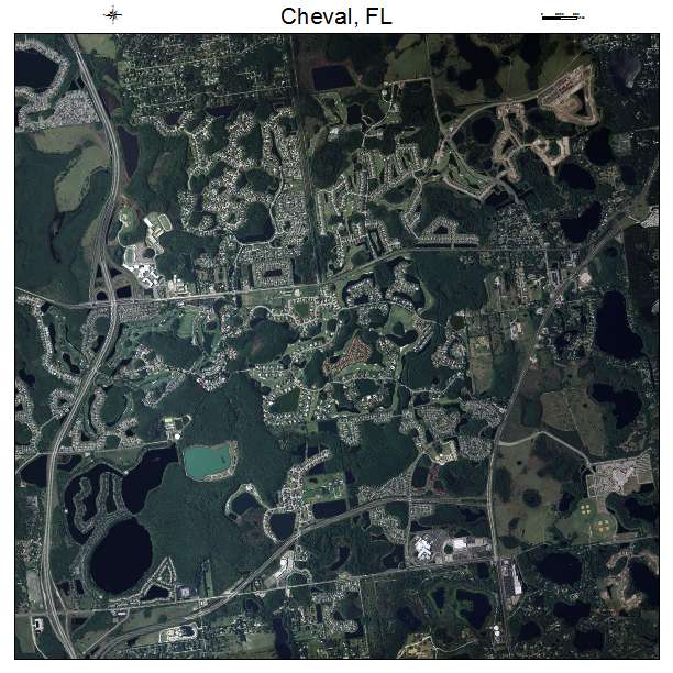 Cheval, FL air photo map