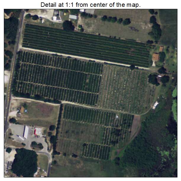 Altoona, Florida aerial imagery detail