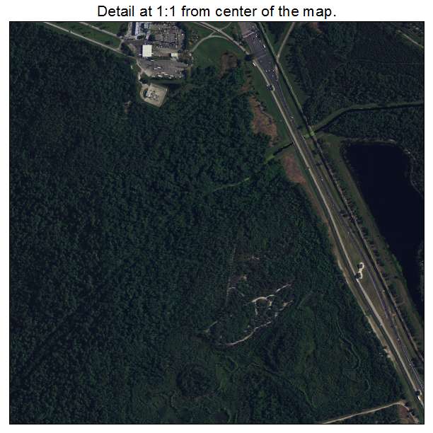 Bay Lake, Florida aerial imagery detail