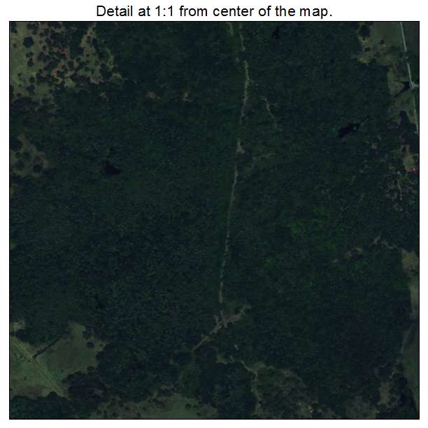 Olga, Florida aerial imagery detail