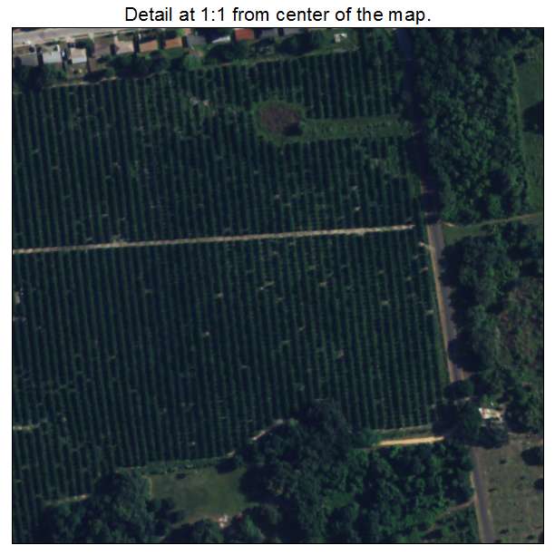 Tildenville, Florida aerial imagery detail