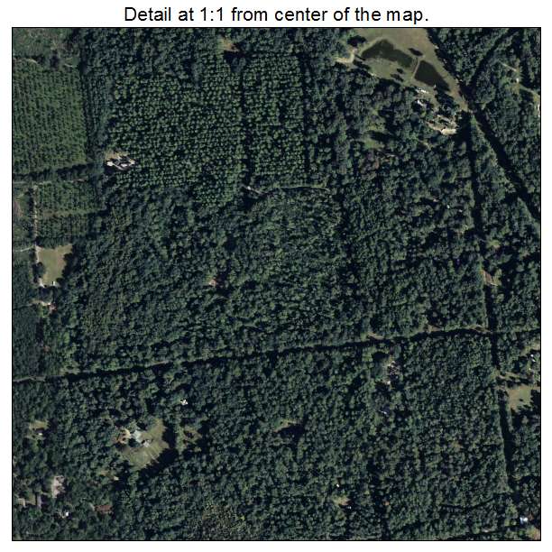 Woodville, Florida aerial imagery detail