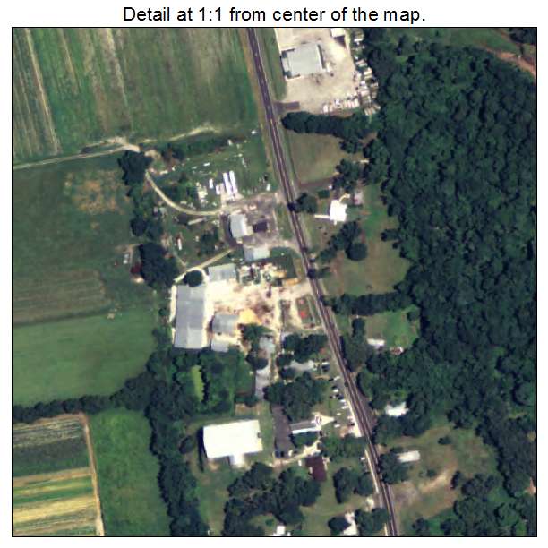Worthington Springs, Florida aerial imagery detail