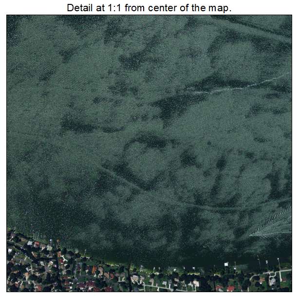 Yalaha, Florida aerial imagery detail