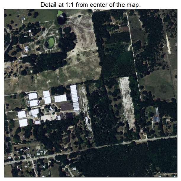 Zellwood, Florida aerial imagery detail