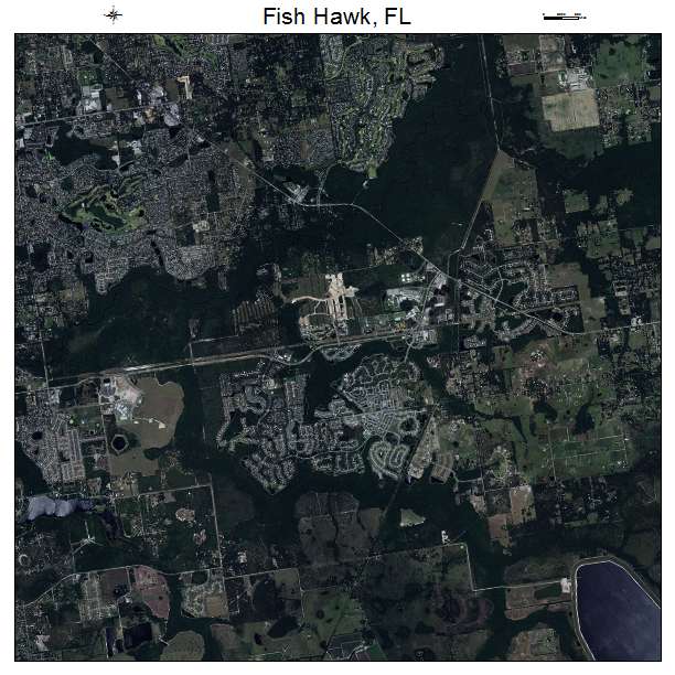 Fish Hawk, FL air photo map