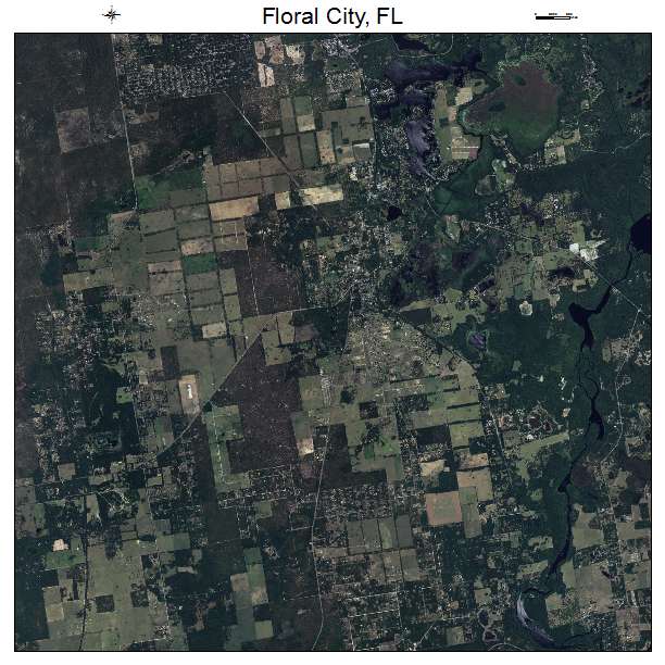 Floral City, FL air photo map