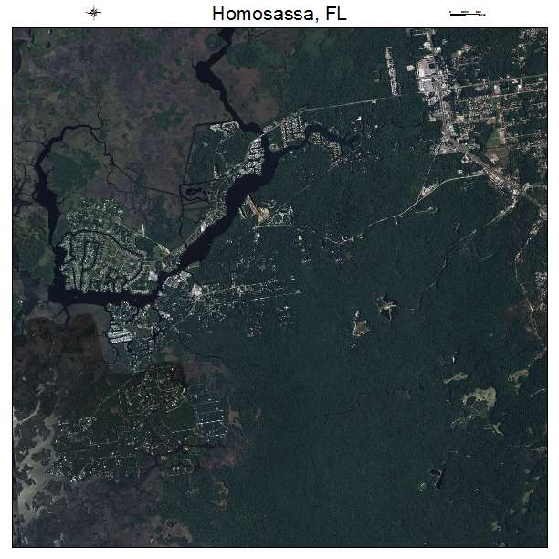 Homosassa, FL air photo map