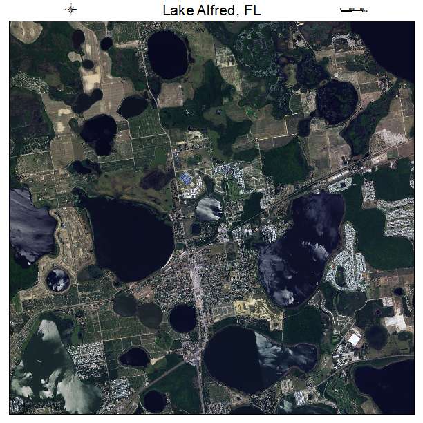 Lake Alfred, FL air photo map