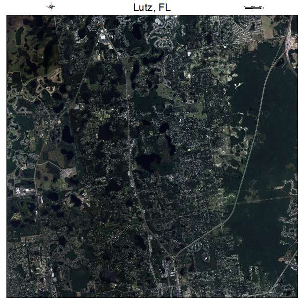 Lutz, FL air photo map