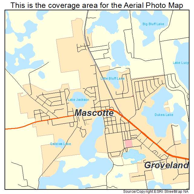 Mascotte, FL location map 