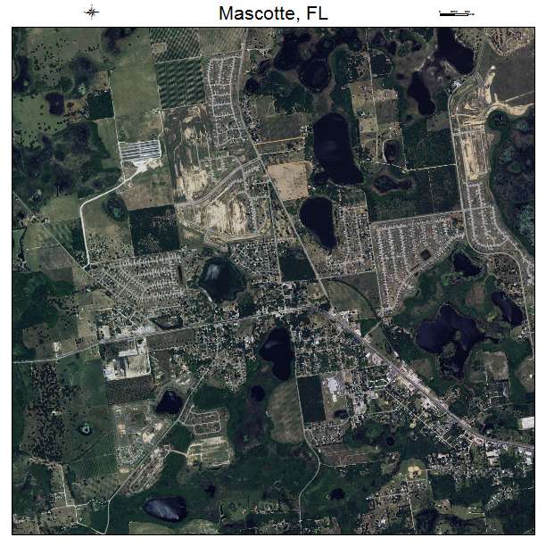 Mascotte, FL air photo map