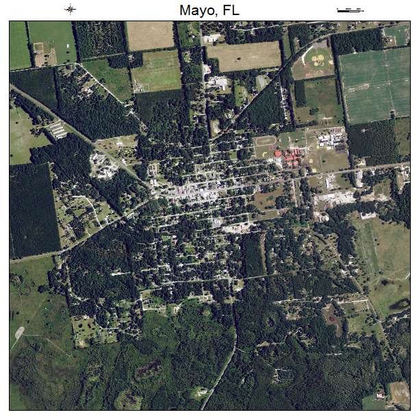 Mayo, FL air photo map