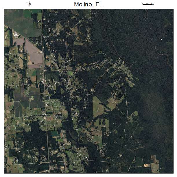 Molino, FL air photo map