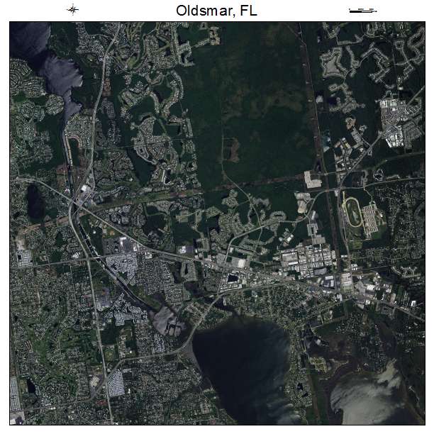 Oldsmar, FL air photo map