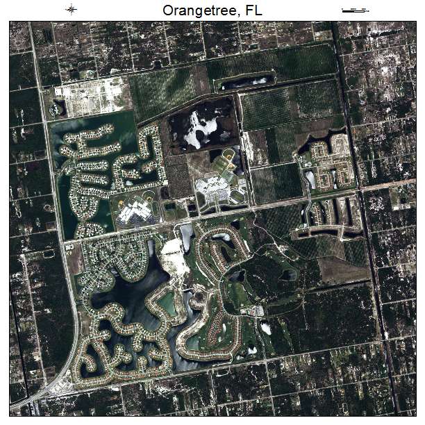 Orangetree, FL air photo map