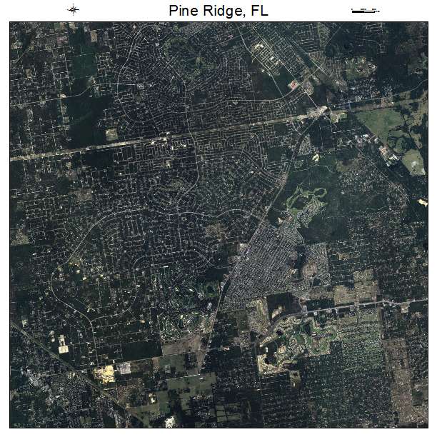 Pine Ridge, FL air photo map
