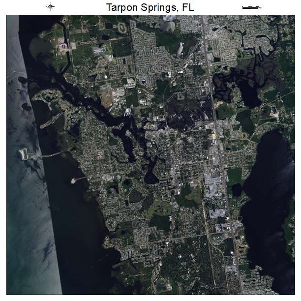 Tarpon Springs, FL air photo map