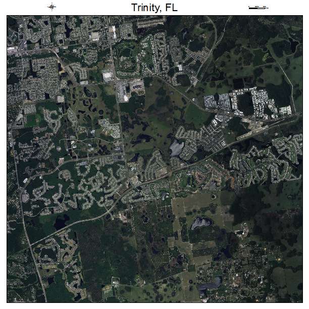 Trinity, FL air photo map