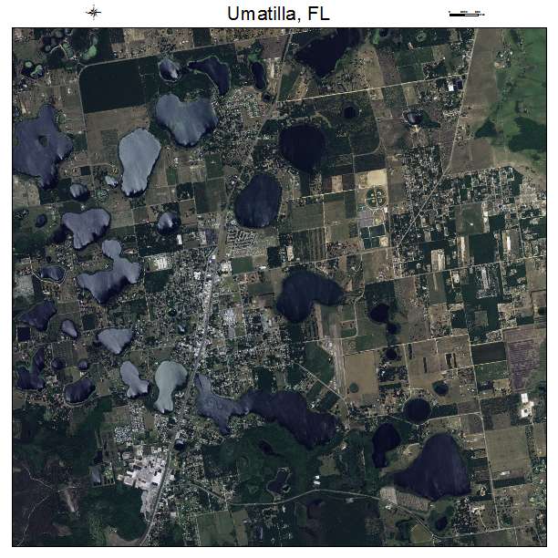 Umatilla, FL air photo map