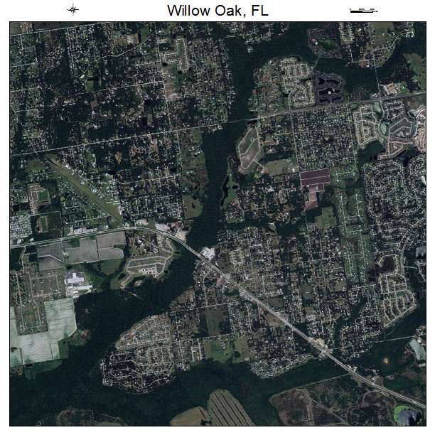 Willow Oak, FL air photo map