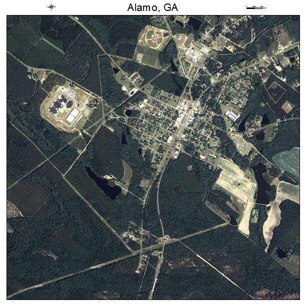 Alamo, GA air photo map