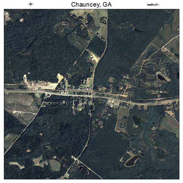 Chauncey, GA air photo map