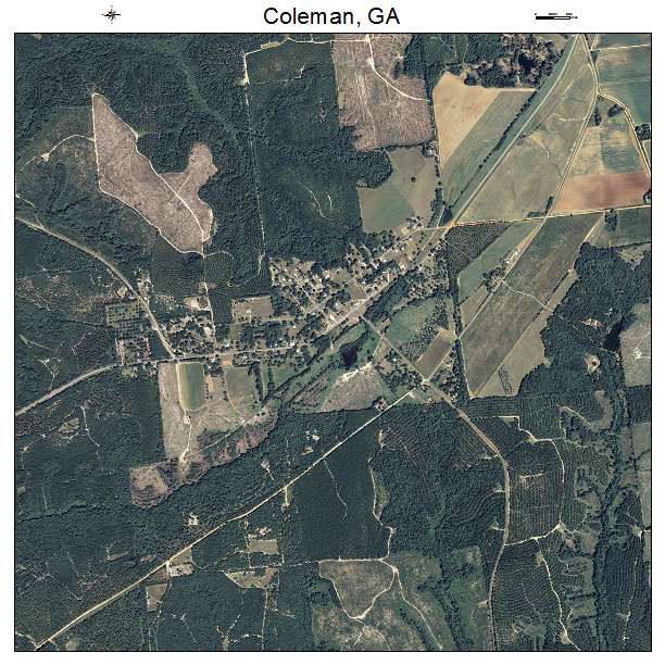 Coleman, GA air photo map