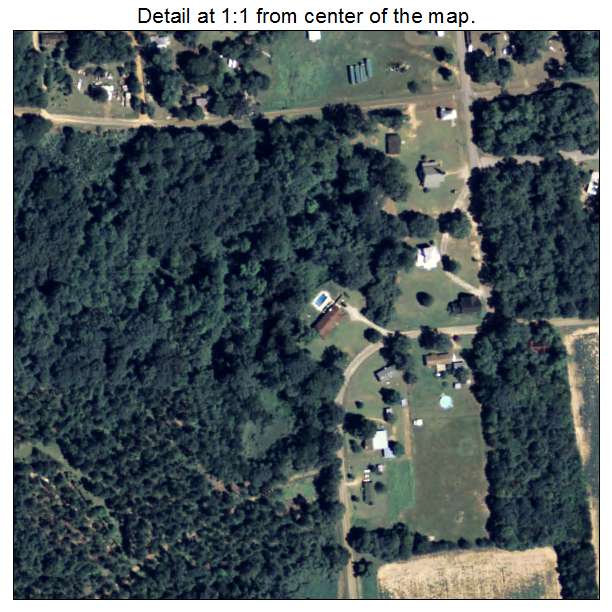 Bluffton, Georgia aerial imagery detail