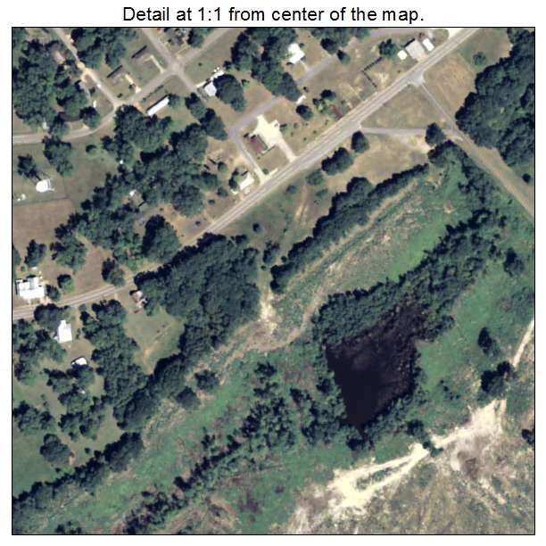 Coleman, Georgia aerial imagery detail