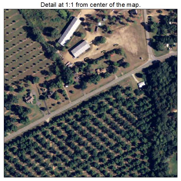 Funston, Georgia aerial imagery detail