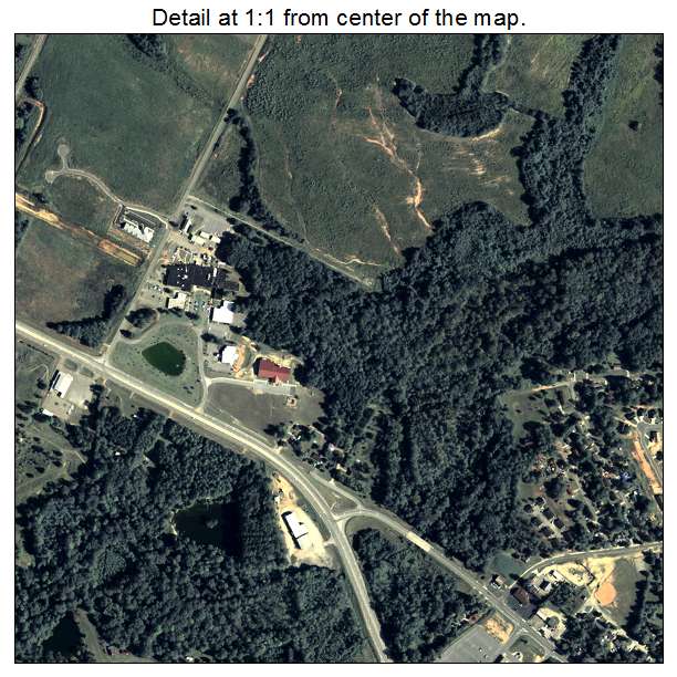Hawkinsville, Georgia aerial imagery detail