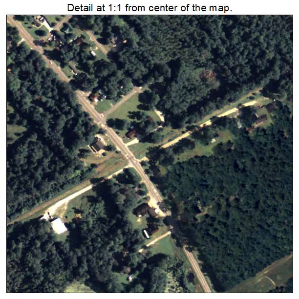 Higgston, Georgia aerial imagery detail